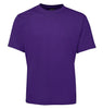 Plain Blank T-Shirt (Purple Colour, Regular and Big Men's Sizes)