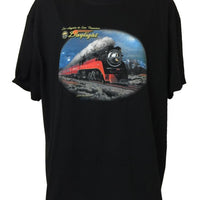 Daylight in Winter Train T-Shirt (Regular and Big Sizes)